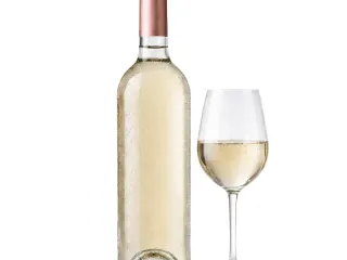 Witte wijn